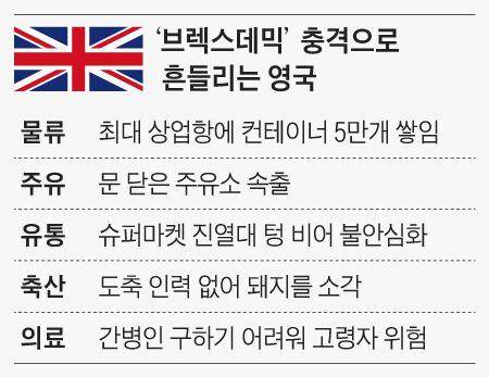 영국 브렉스데믹