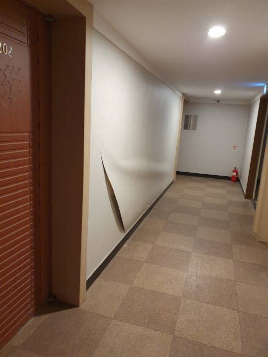 보배드림 사진 갈무리