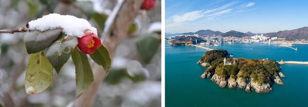 겨울 여수 가볼 만한 곳 / 온라인 커뮤니티