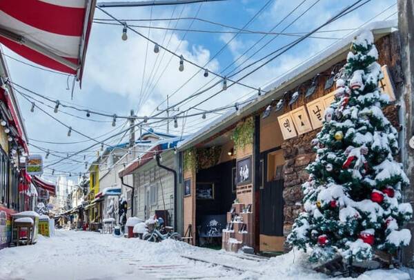 온라인 커뮤니티