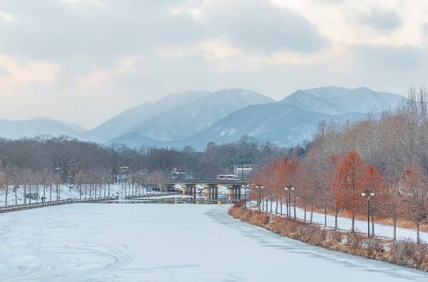 온라인 커뮤니티