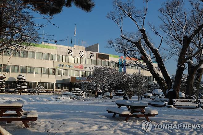 곡성군청 전경 [곡성군 제공. 재판매 및 DB 금지]