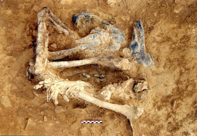 2000년 발굴된 승갑의 군화 옆에 허벅지뼈가 같이 나왔다. 청계 인류진화연구소 제공