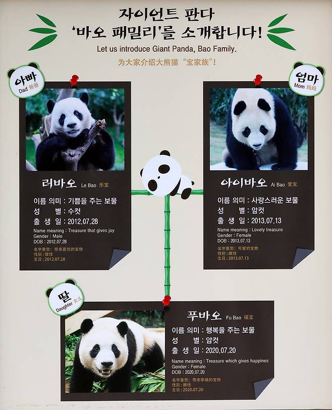 에버랜드 판다월드에 바오패밀리 소개 안내문이 붙어 있다.