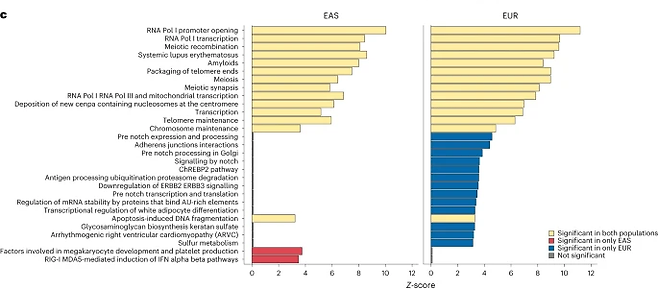동아시아인(EAS)과 유럽인(EUR) 사이에서 공통적이거나 차이가 확연한 대표적인 유전자 표현형 비교. [자료=«Nature Human Behaviour»]