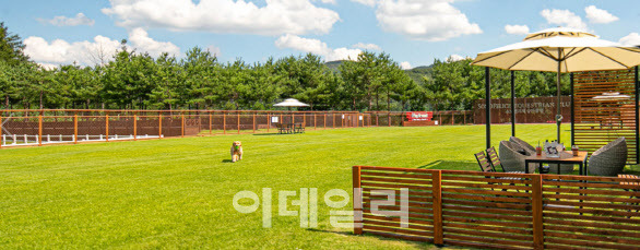 소노펫 비발디파크(사진=소노인터내셔널)