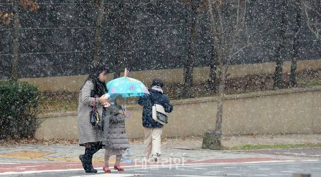 전북 전주시 덕진구 세병로에 많은 양의 눈이 내리고 있다. ⓒ뉴시스