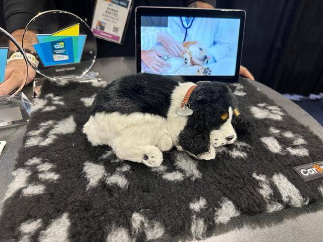 7일 미국 라스베이거스 만달레이베이 호텔에서 열린 CES 사전 행사 언베일드를 통해 공개된 스텔라의 '케어펫(Carepet)'. 반려견, 반려묘의 건강 상태를 측정하는 인공지능 침대다. 라스베이거스=이서희 특파원