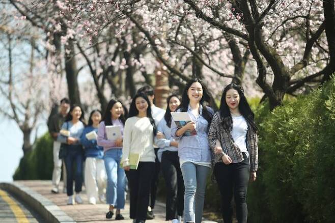 벚꽃이 활짝핀 대전 오정동 캠퍼스 교정을 거닐고 있는 한남대 학생들. 한남대