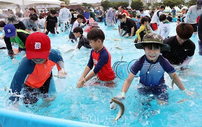 봉화은어축제 은어맨손잡이 / 사진-경북도