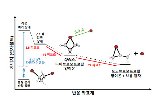 IBS 첨단 반응동역학 연구단은 기체 상태 이온의 탄생과 변화를 실시간으로 포착해 이온이 구조적 암흑 상태를 거쳐 생성물을 형성하는 것을 규명했다.