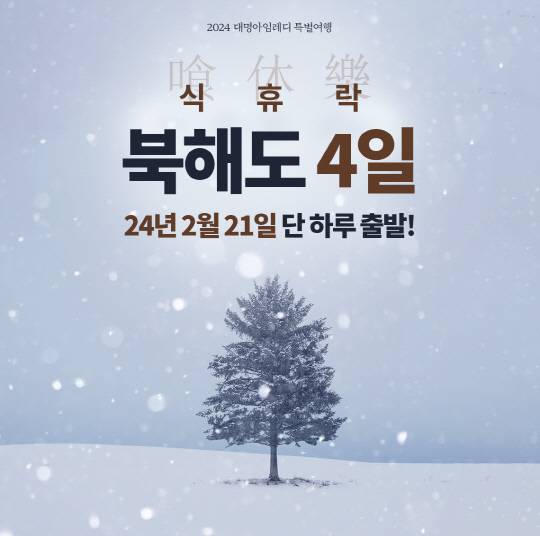 대명아임레디의 북해도 여행 '겨울 패키지' 홍보 이미지. 대명아임레디 제공