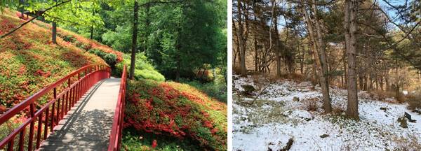 양주 겨울 가볼만한 곳 / 온라인 커뮤니티