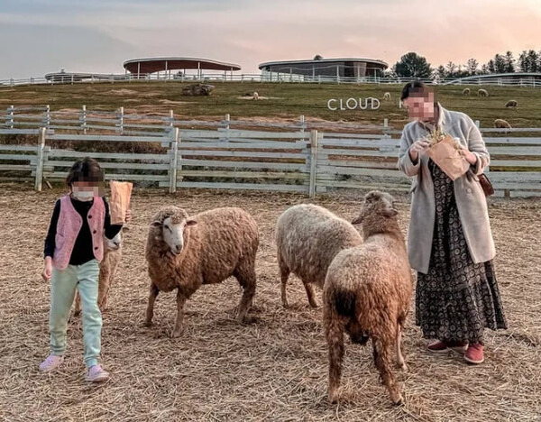 온라인 커뮤니티