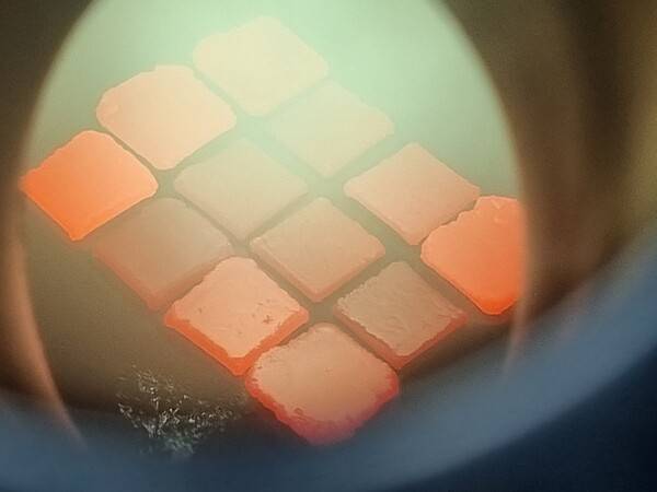 CVD 챔버 내에서 성장하고 있는 시드.(사진=KDT다이아몬드)