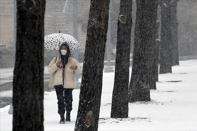 서울 성북구의 한 대학교 교정에서 학생들이 내리는 눈 속에서 길을 지나고 있다. ⓒ데일리안 홍금표 기자