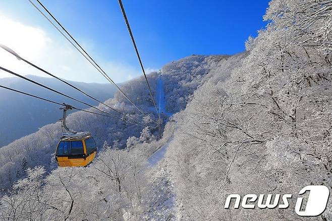 (서울=뉴스1) = 12일 강원도 모나 용평 발왕산에 눈이 내려 쌓여있다. (모나 용평 제공) 2023.12.12/뉴스1  Copyright (C) 뉴스1. All rights reserved. 무단 전재 및 재배포,  AI학습 이용 금지.