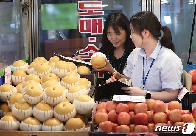 경기 수원시 팔달구 못골시장에서 국립농산물품질관리원 경기지원 수원사무소 관계자들이 원산지 표시 점검을 하고 있다. 2023.9.13/뉴스1 ⓒ News1 김영운 기자