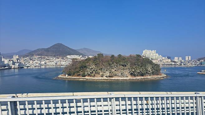 여수시가 겨울 철새 민물가마우지의 배설물로 장군도 섬 숲 백화현상에 따른 피해대응에 나섰다..사진/여수시