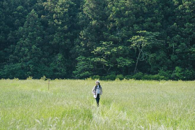 '웰컴투 삼달리' 속 구좌읍 '비밀의숲'. 너른 목초지가 아름다운 휴양림으로 지난 2020년 문을 열었다. 사진 MI, SLL