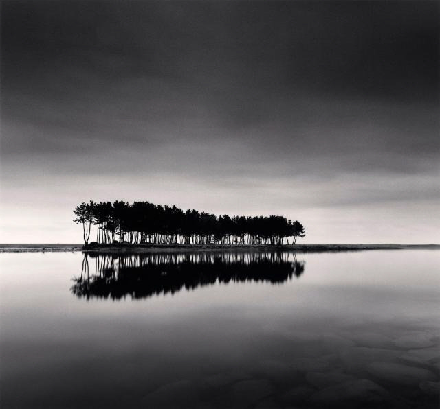 솔섬(Pine Trees), Study 1, Wolcheon, Gangwondo, South Korea. 2007. 공근혜갤러리 제공