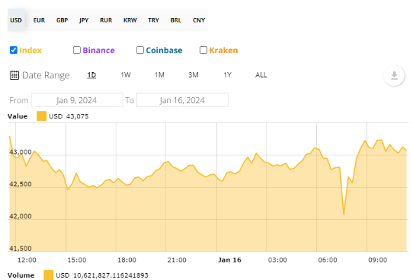 24년 1월 9일에서 1월 16일까지 비트코인(BTC) 가격 차트./출처=코인텔레그래프