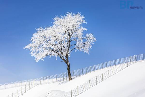 출처 = 게티이미지뱅크