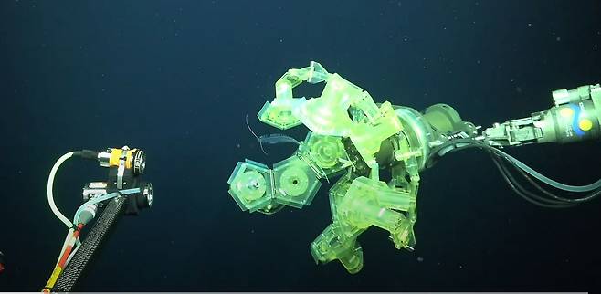 '회전 접이식 십이면체'라는 뜻의 RAD-2 로봇팔이 심해 환형동물인 다모류(Tomopteris)를 포획하는 모습. 수중탐사로봇에 장착된 카메라로 촬영한 동영상을 캡처한 화면이다./미 슈미트 해양연구소