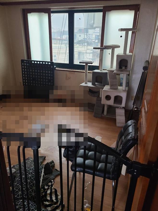 1년 넘게 연락이 닿지 않은 세입자가 결국 잠적해 집을 찾아갔지만 쓰레기만 가득했다는 사연이 전해졌다. 디시인사이드 갈무리
