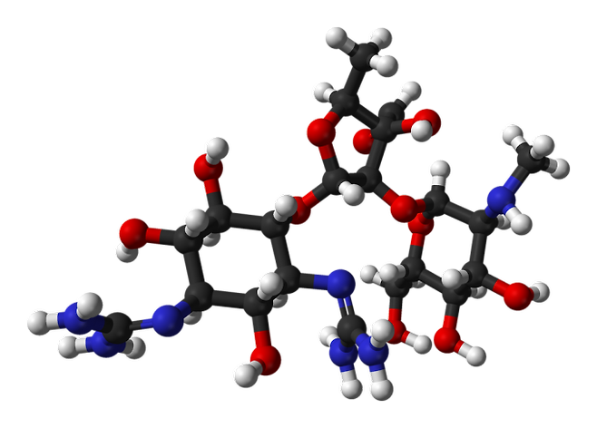 스트렙토마이신. 위키미디어 제공