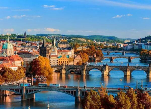 온라인 커뮤니티