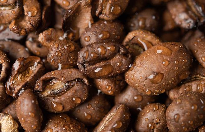 RDT는 원두를 갈기 전 소량의 물을 원두에 뿌려 적시는 방법으로, 정전기로 그라인더 내부 벽에 가루가 들러붙는 것을 막기 위해 고안됐다. ⓒshutterstock