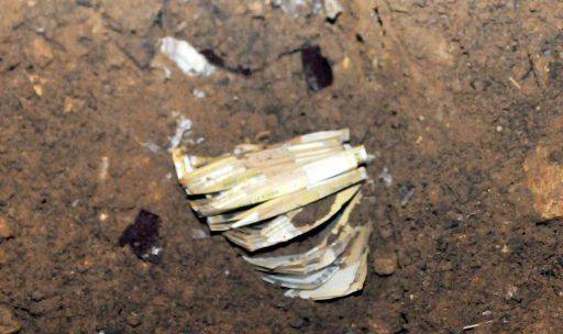 김제 마늘밭에서 나온 돈다발 [이미지출처=연합뉴스]