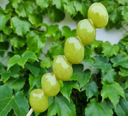 샤인머스켓 탕후루