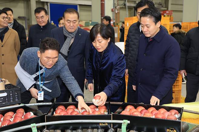 송미령(가운데) 농림축산식품부 장관이 23일 충북 충주에 소재한 국내 최대 과수 거점 산지유통센터를 방문해 과일 설 성수품 수급 상황을 점검하고 있다.[농림축산식품부 제공]