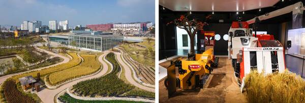 온라인 커뮤니티