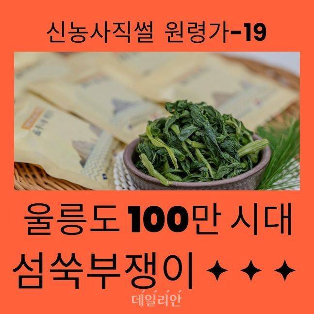 섬쑥부쟁이가 울릉도 신공항 개항에 맞춰 다양하고 간편한 가공식품을 앞세워 소비자 공략에 나섰다. ⓒ편집 데일리안 배군득 기자