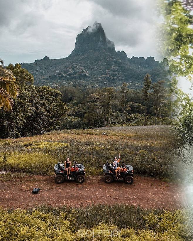 모레아 사파리 투어/사진제공=정명윤(@bright_yun