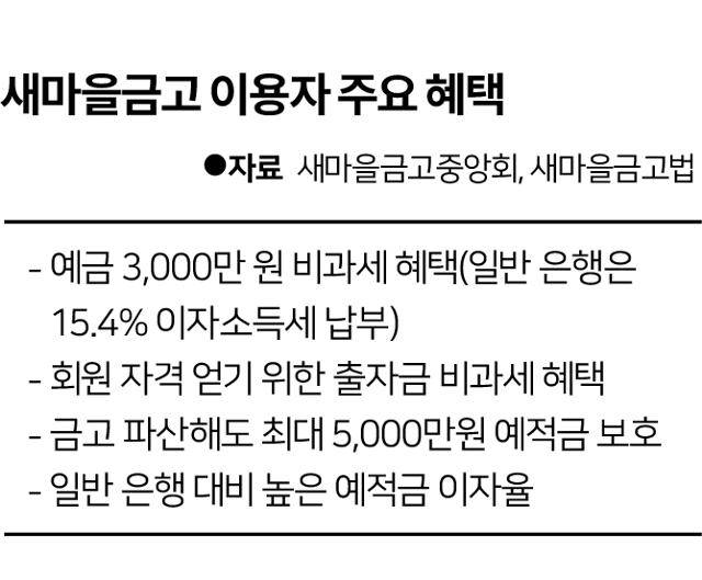 그래픽=송정근 기자