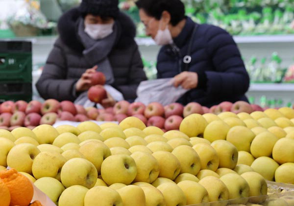 한 대형마트의 과일 진열대. 한국물가정보 설 차례상 비용 조사에 따르면 전통시장 기준으로 사과(부사) 3개 가격은 1만5000천 원으로 지난해 설보다 42.86% 올랐다. 연합뉴스