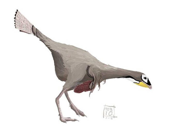 1억 2천400만 년 전의 원시 날개 공룡 카우딥테릭스 복원도