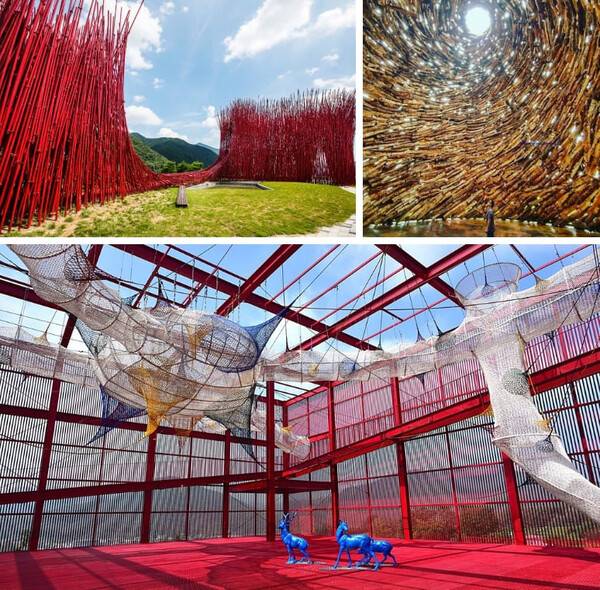 영월 가볼만한 곳 / 온라인 커뮤니티