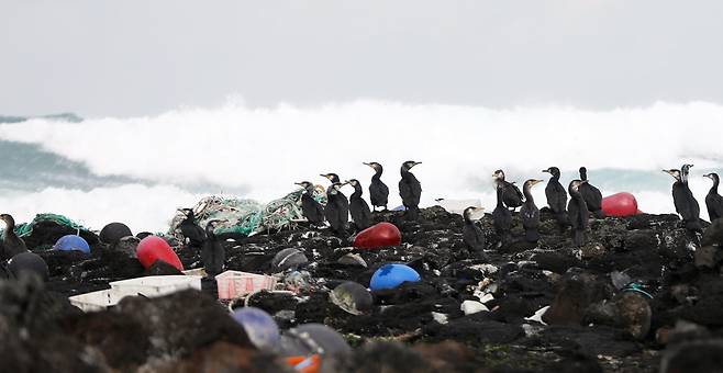24일 오후 제주시 한경면 해안가에 북서풍 영향으로 떠밀려온 폐어구 등 각종 플라스틱 해양폐기물들이 널브러져있다./뉴스1