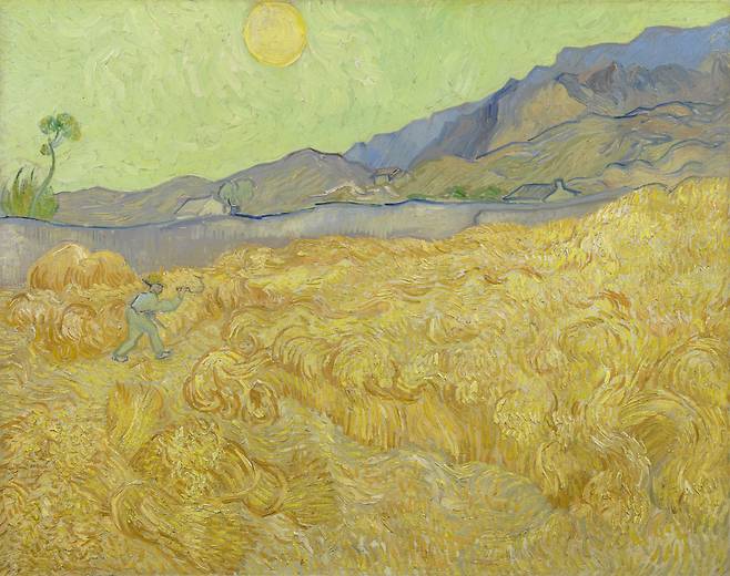 빈센트 반 고흐, 'Wheatfield with a Reaper'