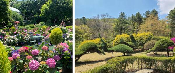 온라인 커뮤니티