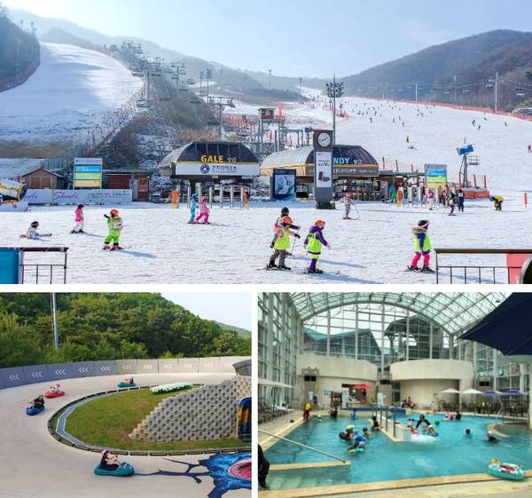 온라인 커뮤니티