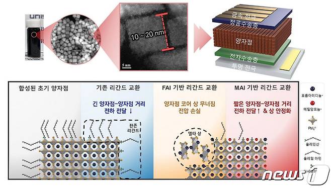 유기계 페로브스카이트 양자점 소재와 이를 이용한 태양전지의 구조 및 리간드 치환 방식 모식도. (UNIST 제공)