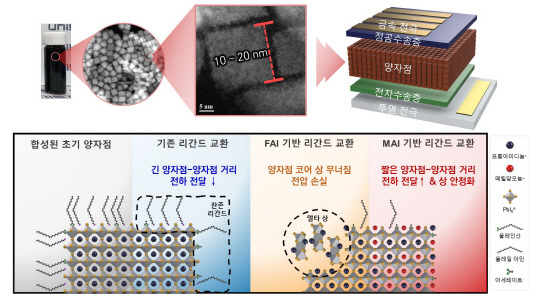 울산과학기술원 연구진이 유기 양이온 기반의 페로브스카이트 양자점을 합성해 세계 최고 효율의 '페로브스카이트 양자점 태양전지'를 개발했다. UNIST 제공