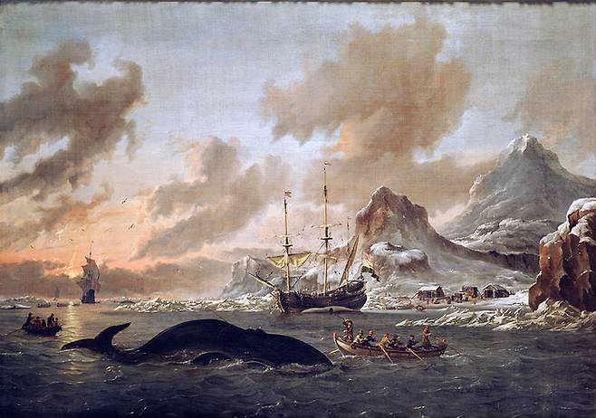 “저 놈 머리에 정액이 가득하대” 17세기 네덜란드 해양화가 아브라함 스톡의 ‘스피츠베르겐 인근에서 고래잡이를 하는 어부들’.