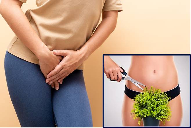 우리 신체에 있는 털들은 실제로 병원성 박테리아의 성장을 억제하며 특히 음모는 여성의 비뇨생식기 건강을 유지하는 데  중요하다는 사실이 최근 과학학술지 '사이언티픽 리포트(Scientific Reports)' 발표됐다. [사진=게티이미지뱅크]